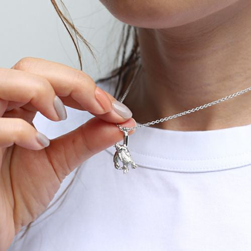 怪兽公司大学苏利项链 - 银色