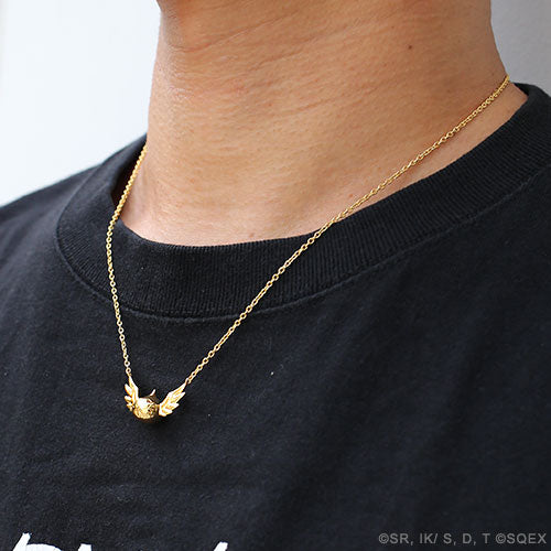 勇者鬥惡龍:戴戈梅醬的冒險項鍊