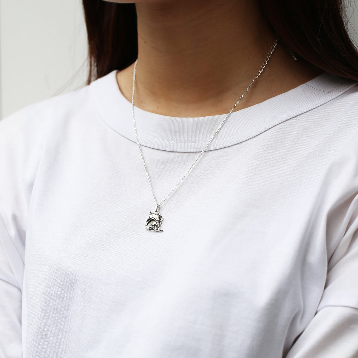 JoJo的奇妙冒险:石之海 天气R项链/天气R