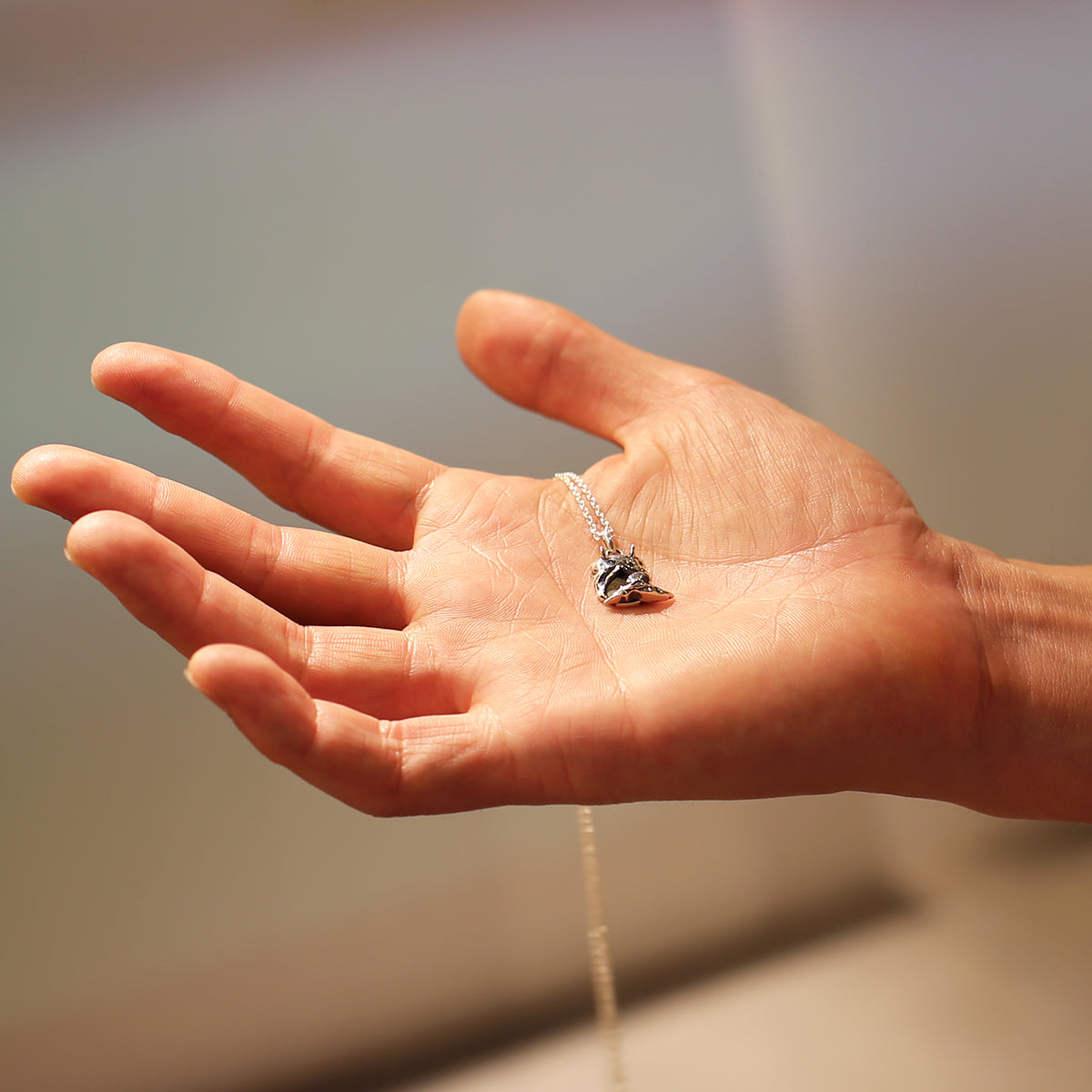 JoJo的奇妙冒险:石之海 天气R项链/天气R