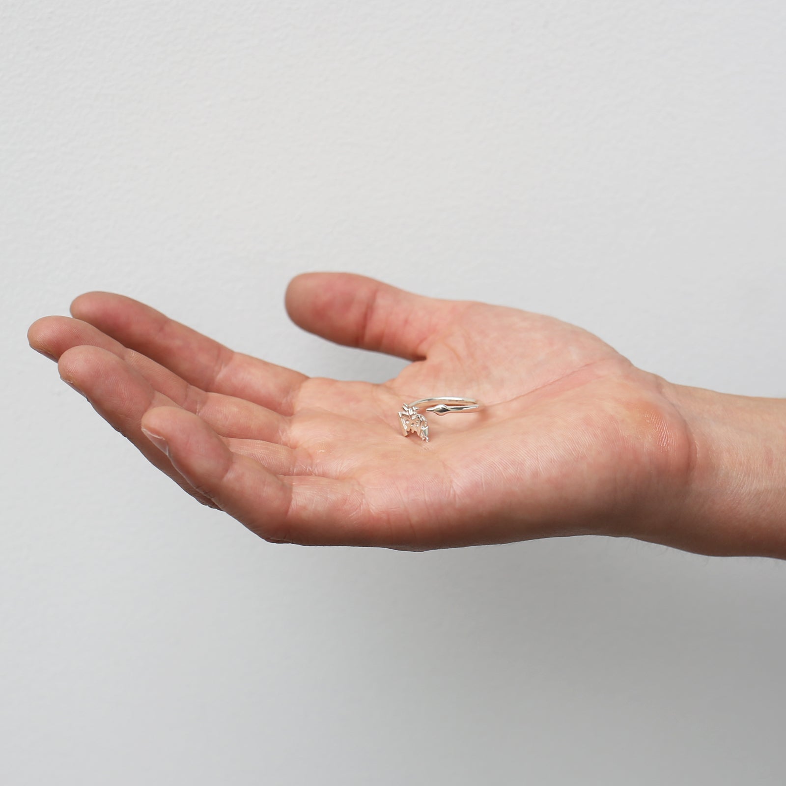 JoJo's Bizarre Adventure: Diamond is Unbreakable Koichi Hirose Echoes Act 1 Ring