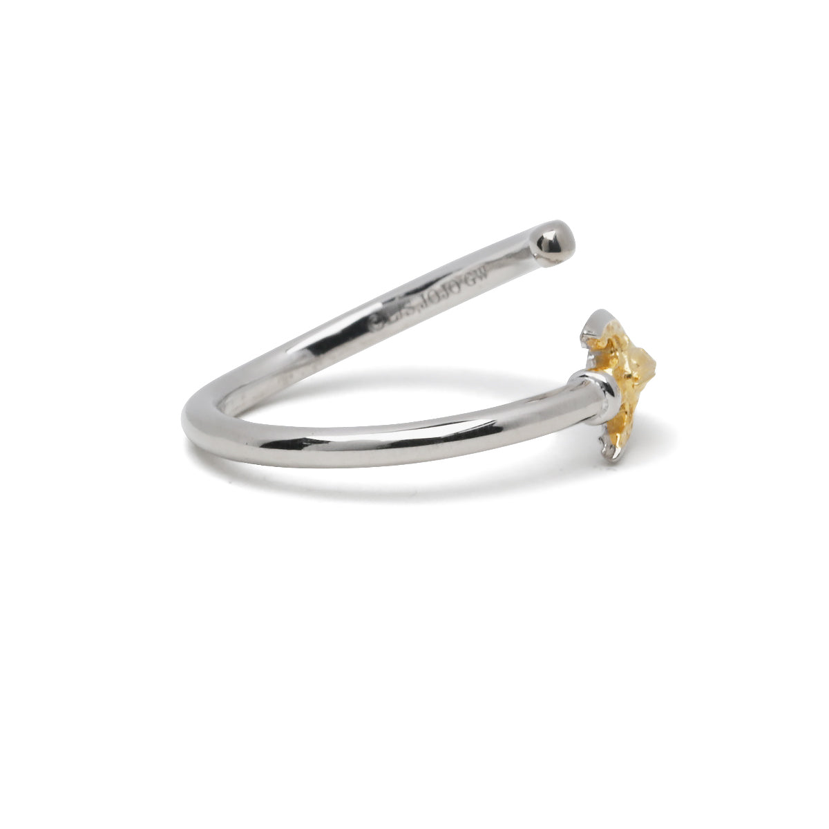 《JOJO的奇妙冒险:黄金之风》替身箭环