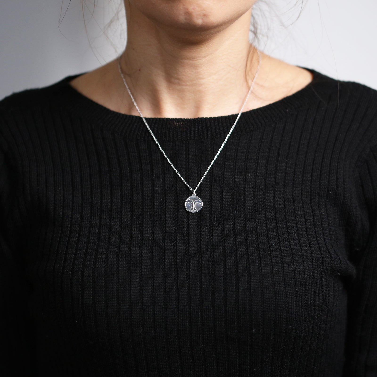 Mobile Suit Gundam SEED FREEDOM Coin Necklace Terminal