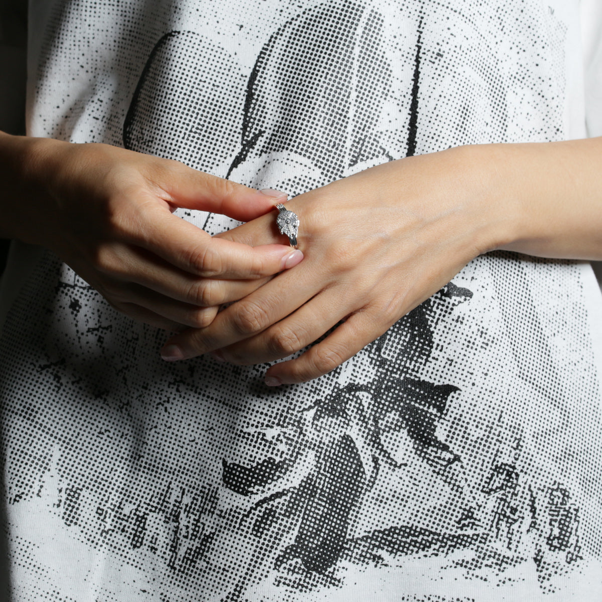 星際大戰™千歲鷹環