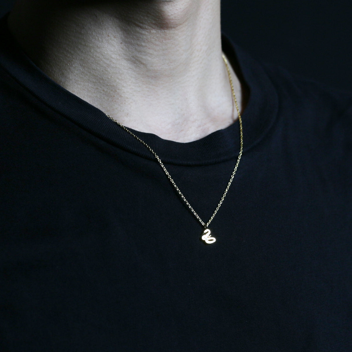 哈利波特與魔法石分院帽項鍊 - 史萊哲林