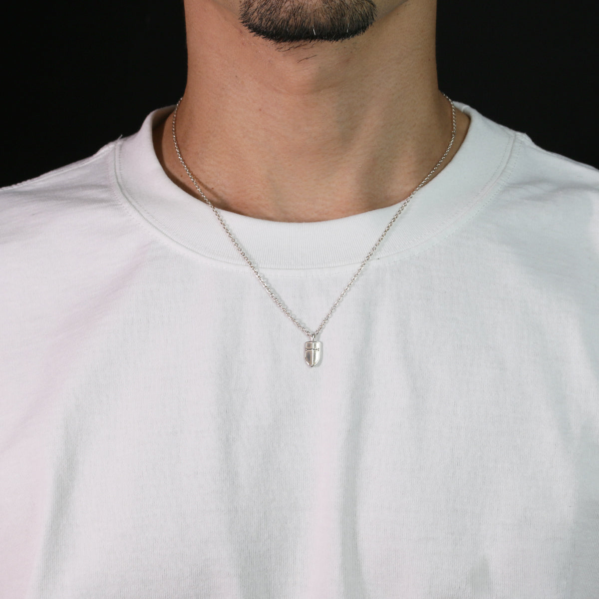 Sleeping Beauty Prince Phillip's Shield Necklace Silver