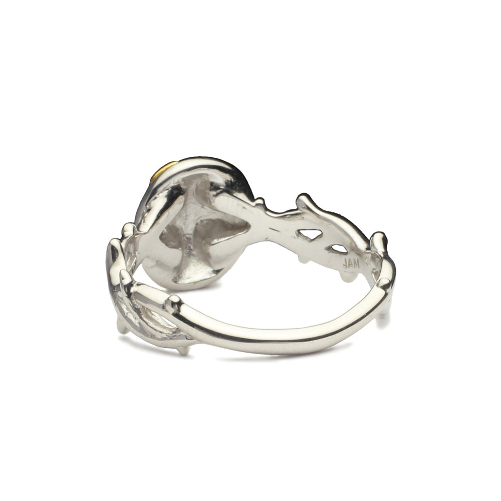 JoJo的奇妙冒险:黄金之风戒指(黄金体验)