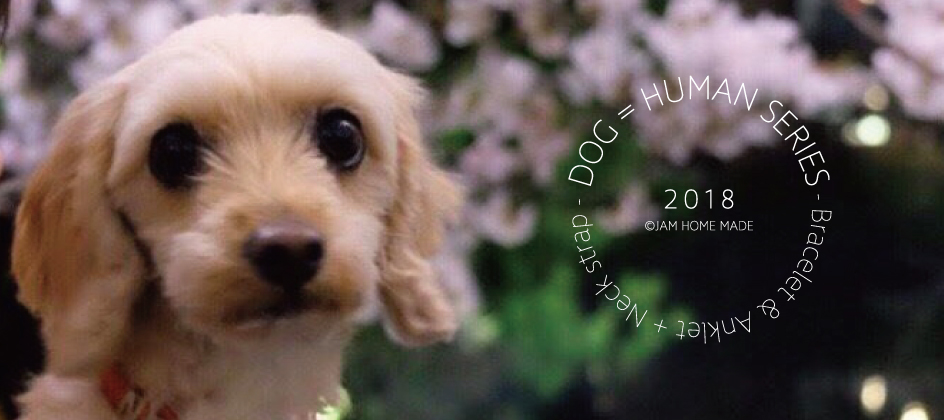 【NEW ARRIVAL】DOG = HUMAN SERIESの写真