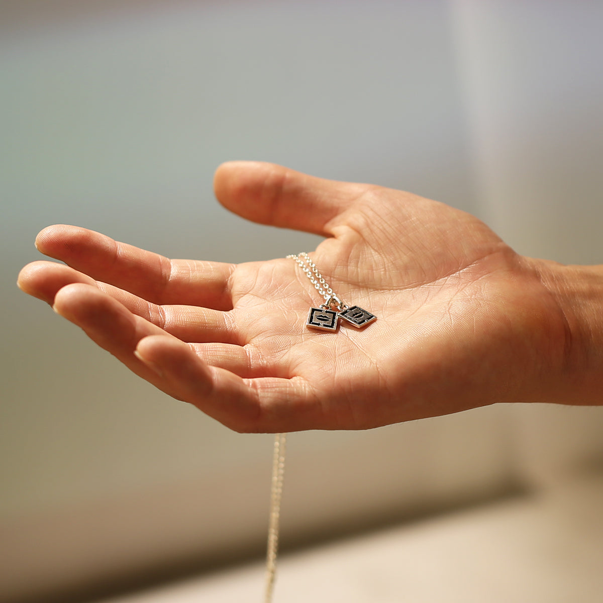 JoJo的奇妙冒险：石之海 KI项链/E. Costello