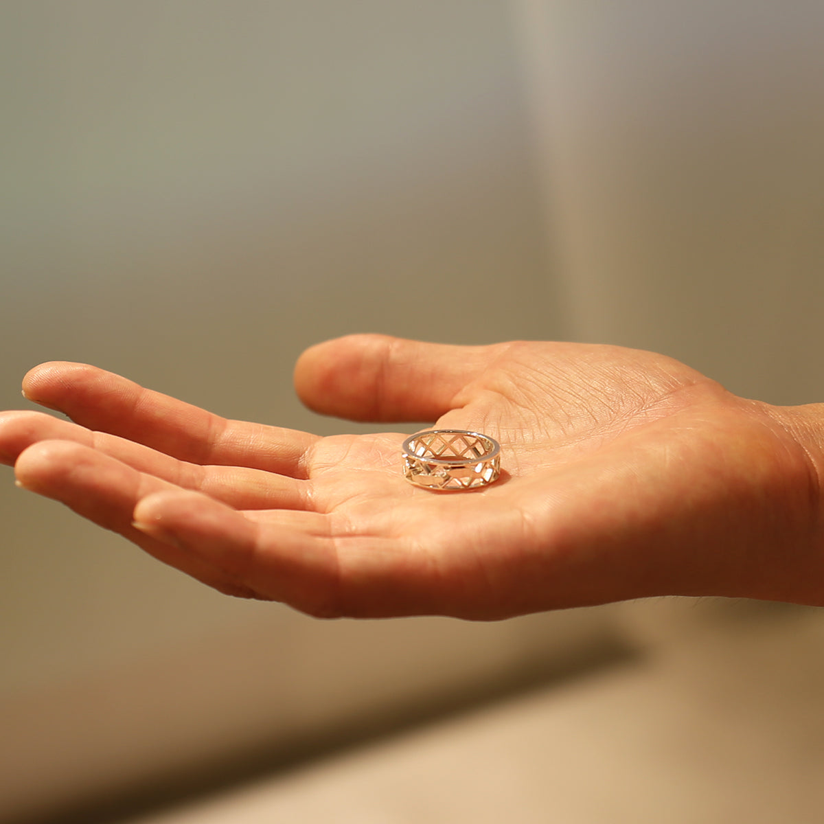 JoJo的奇妙冒險：石之海 網環/水仙花A