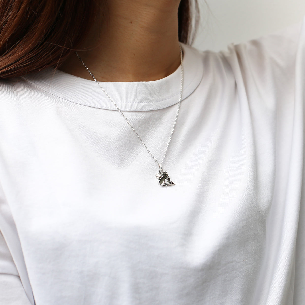 JoJo的奇妙冒险：石之海 天气R项链/天气R