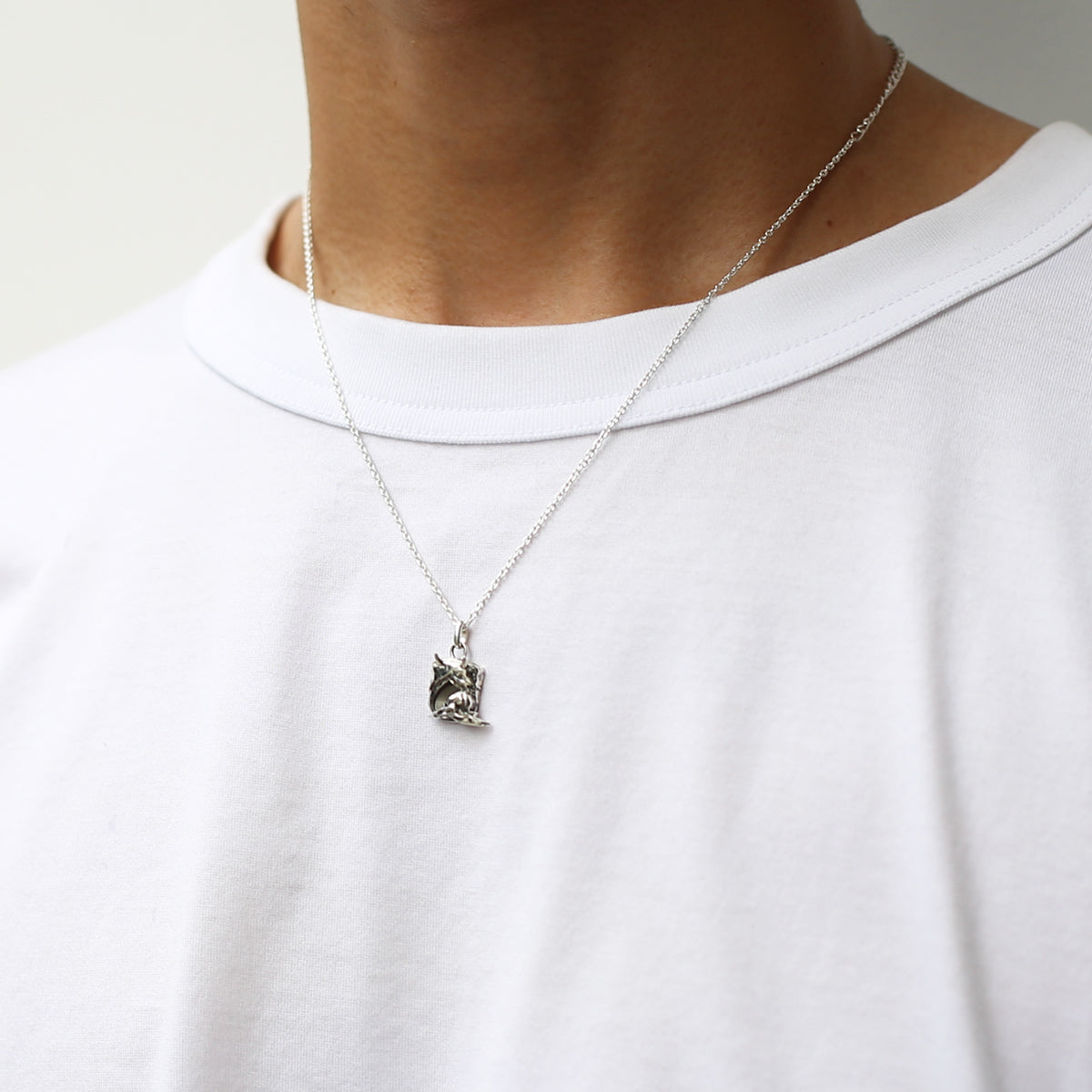 JoJo的奇妙冒险：石之海 天气R项链/天气R