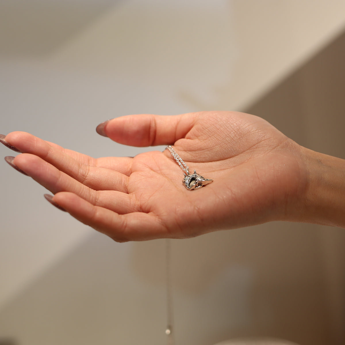 JoJo的奇妙冒险：石之海 天气R项链/天气R