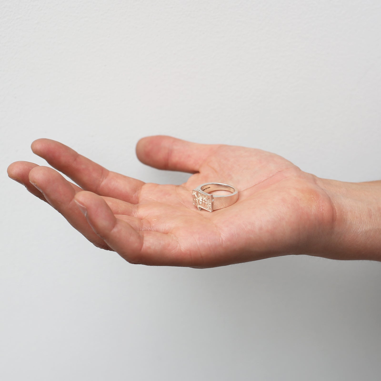 JoJo's Bizarre Adventure: Diamond is Unbreakable Nijimura Okita The Hand Ring