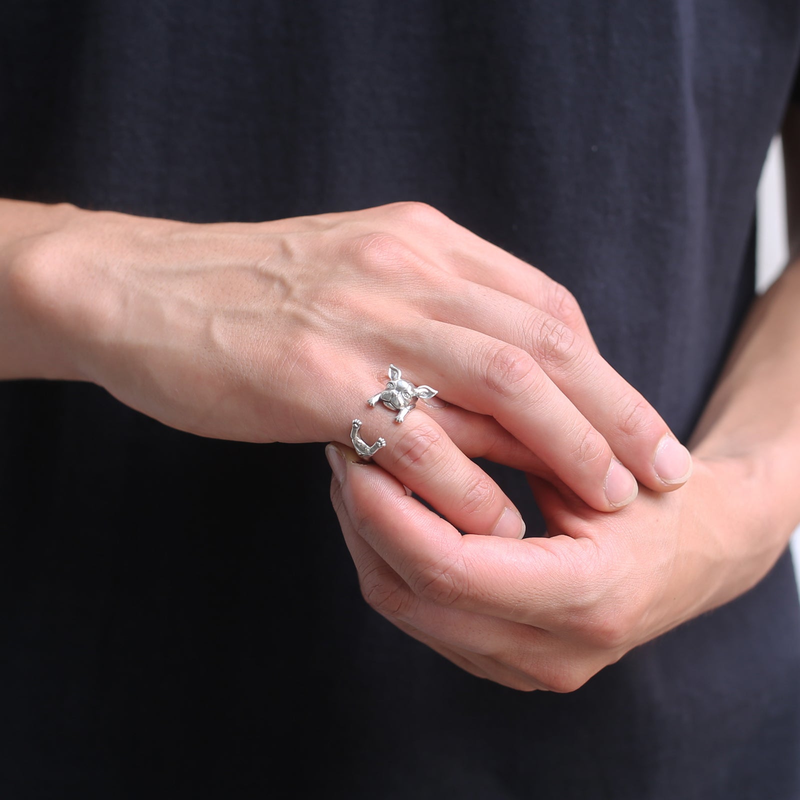 《JOJO的奇妙冒险：星尘斗士》伊奇·林格