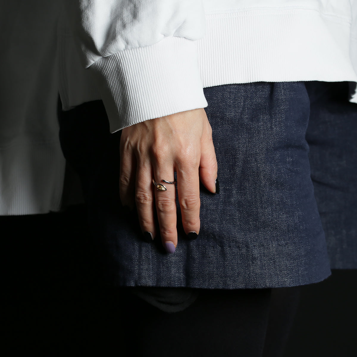 《JOJO的奇妙冒险：黄金之风》替身箭环