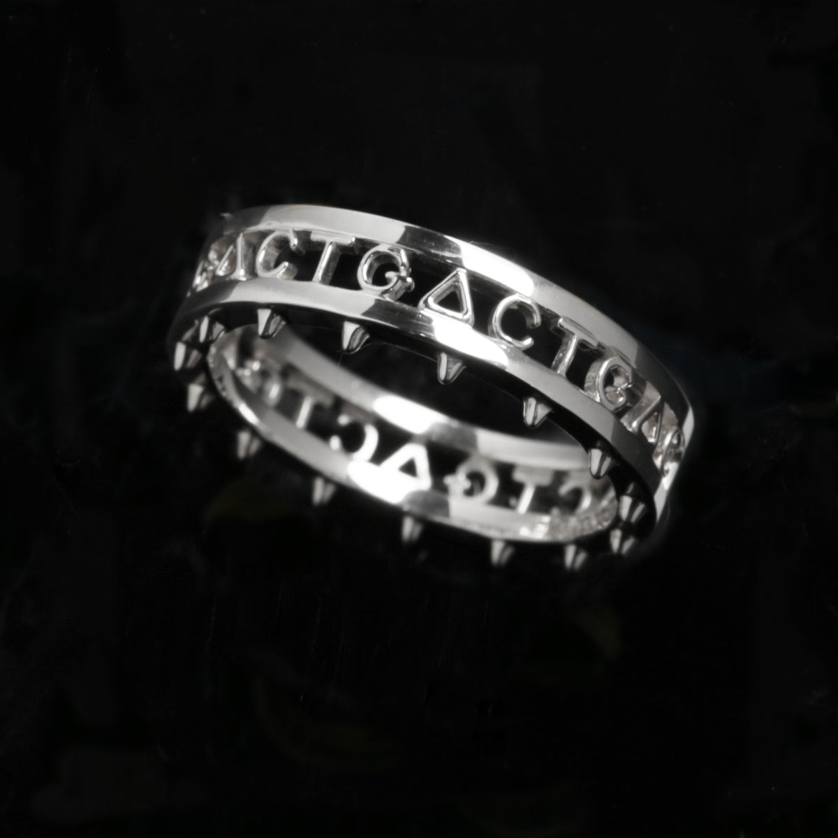 JoJo的奇妙冒險：石之海 WS 戒指