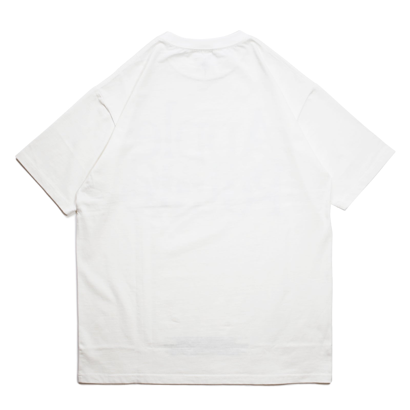 Apple T-Shirt / White