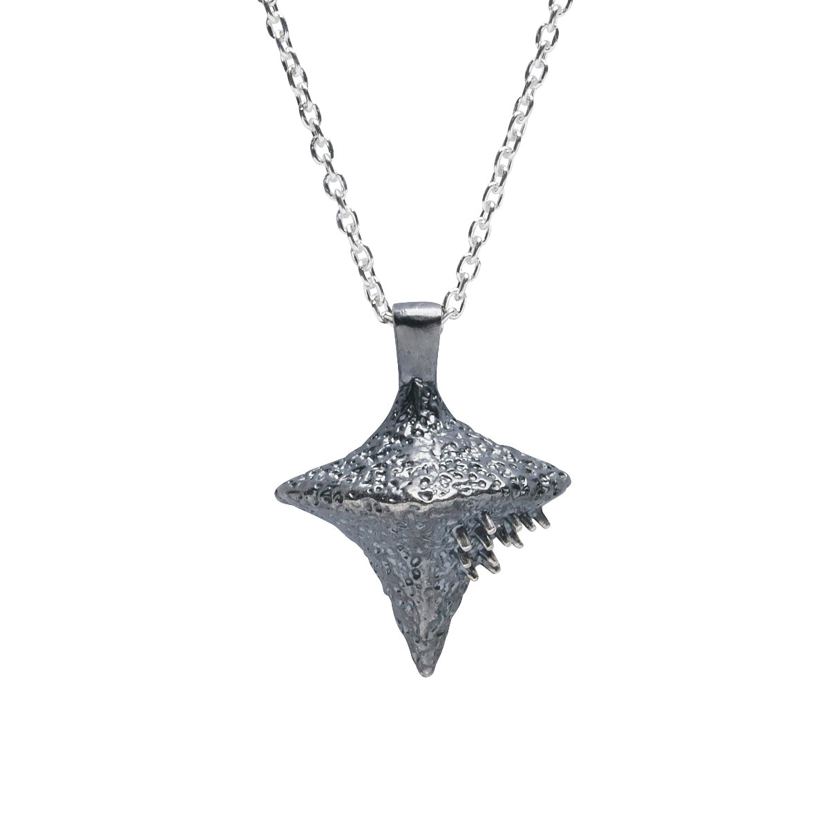 Mobile Suit Gundam: Char's Counterattack Axis Necklace