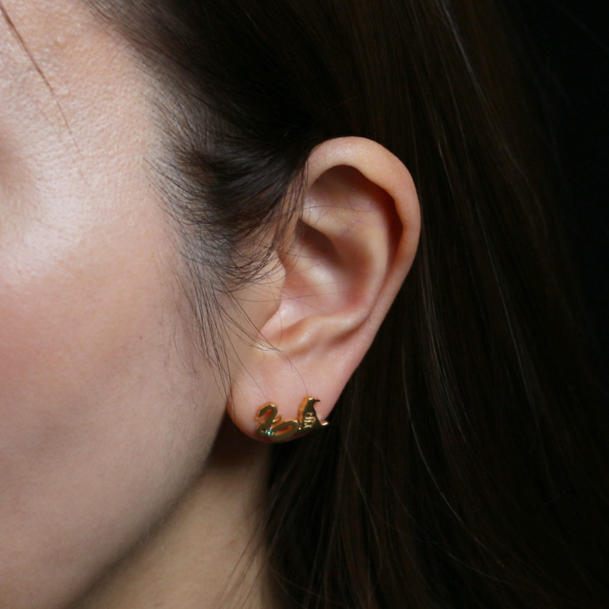 哈利·波特与魔法石分院帽耳环 - 斯莱特林（双耳）