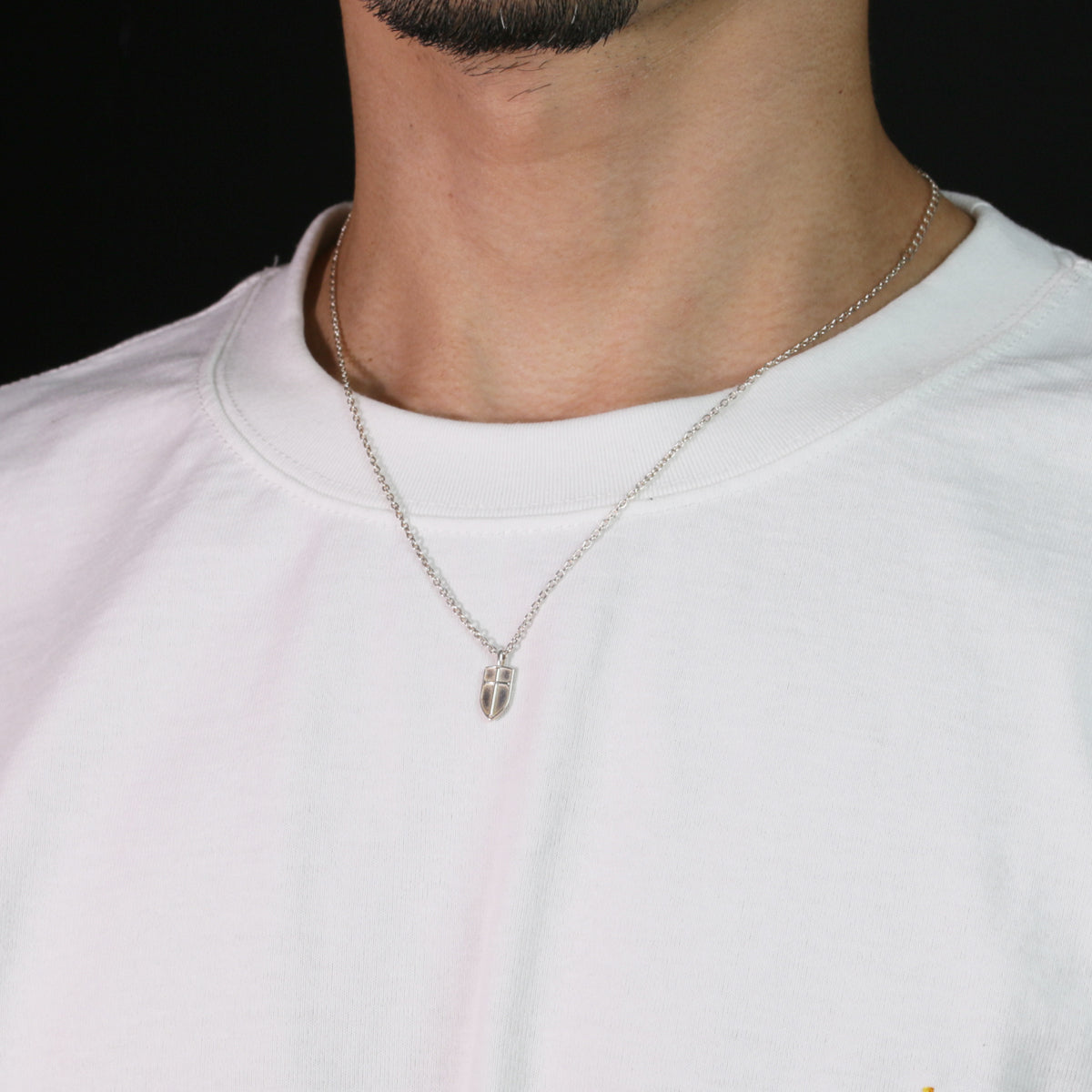 Sleeping Beauty Prince Phillip's Shield Necklace Silver