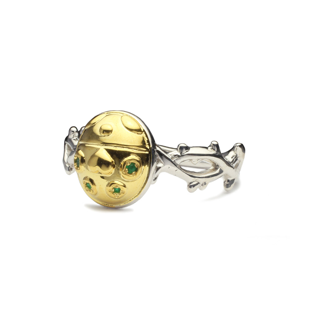 JoJo的奇妙冒险：黄金之风戒指（黄金体验）